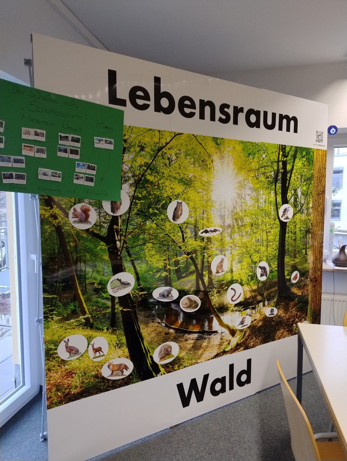 Poster über Lebensraum Wald